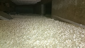 湿気対策
